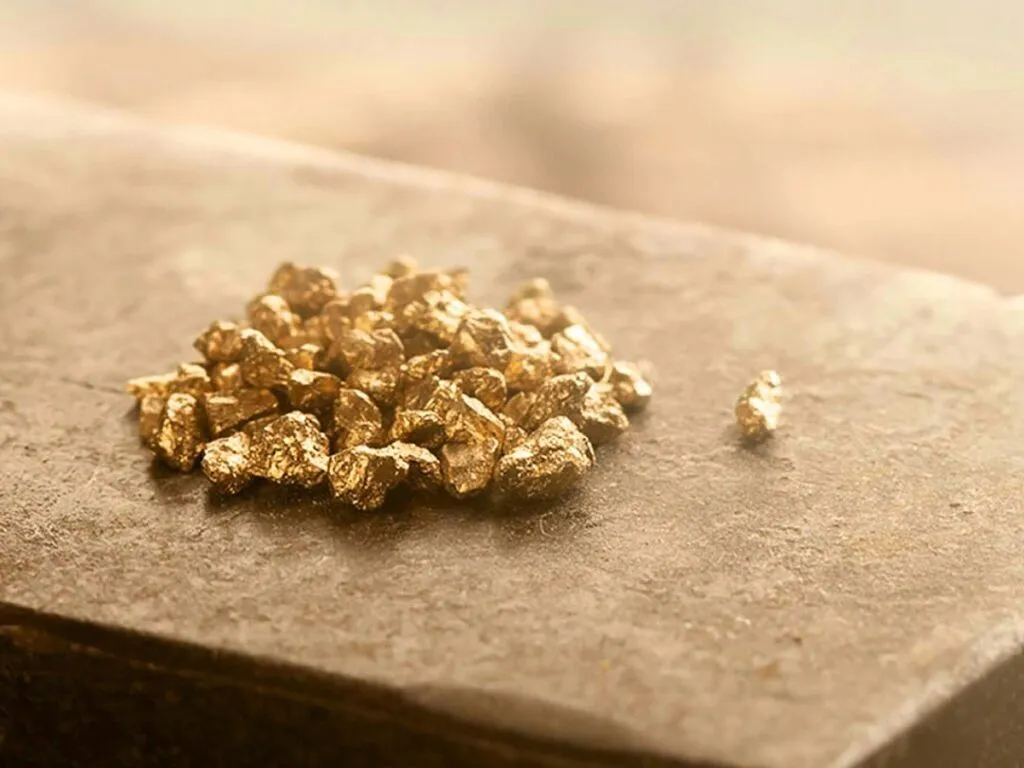 Vàng Hội Là Gì? Ý Nghĩa và Giá Trị Trong Đầu Tư Vàng